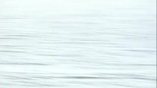 Amateur Real Public Sex On The Streets - Public-1