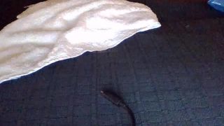 free online video 15 Shemale Webcams Video for March 12, 2020 – 16 - webcam - shemale porn -3