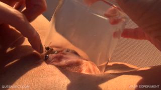 WASP EXPERIMENT 2017 September 15 1080P - Qs-5