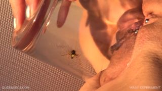 WASP EXPERIMENT 2017 September 15 1080P - Qs-6