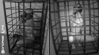 free online video 40 skin diamond femdom Bondage Life – More Storage Time For Greyhound, bondage life on femdom porn-4