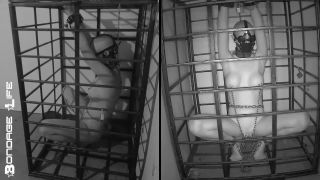 free online video 40 skin diamond femdom Bondage Life – More Storage Time For Greyhound, bondage life on femdom porn-6