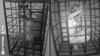 free online video 40 skin diamond femdom Bondage Life – More Storage Time For Greyhound, bondage life on femdom porn-9