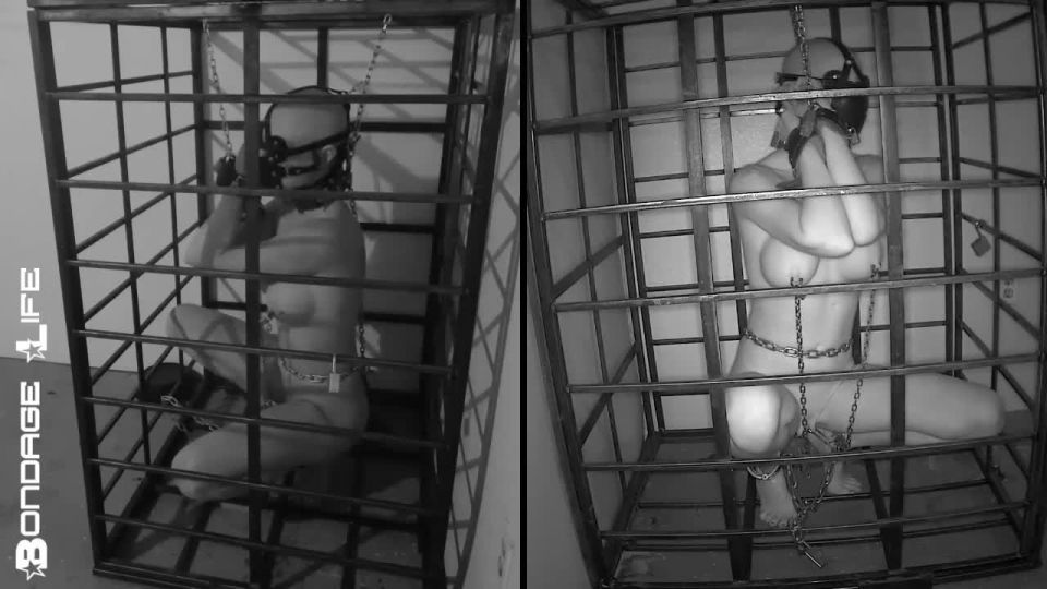 free online video 40 skin diamond femdom Bondage Life – More Storage Time For Greyhound, bondage life on femdom porn