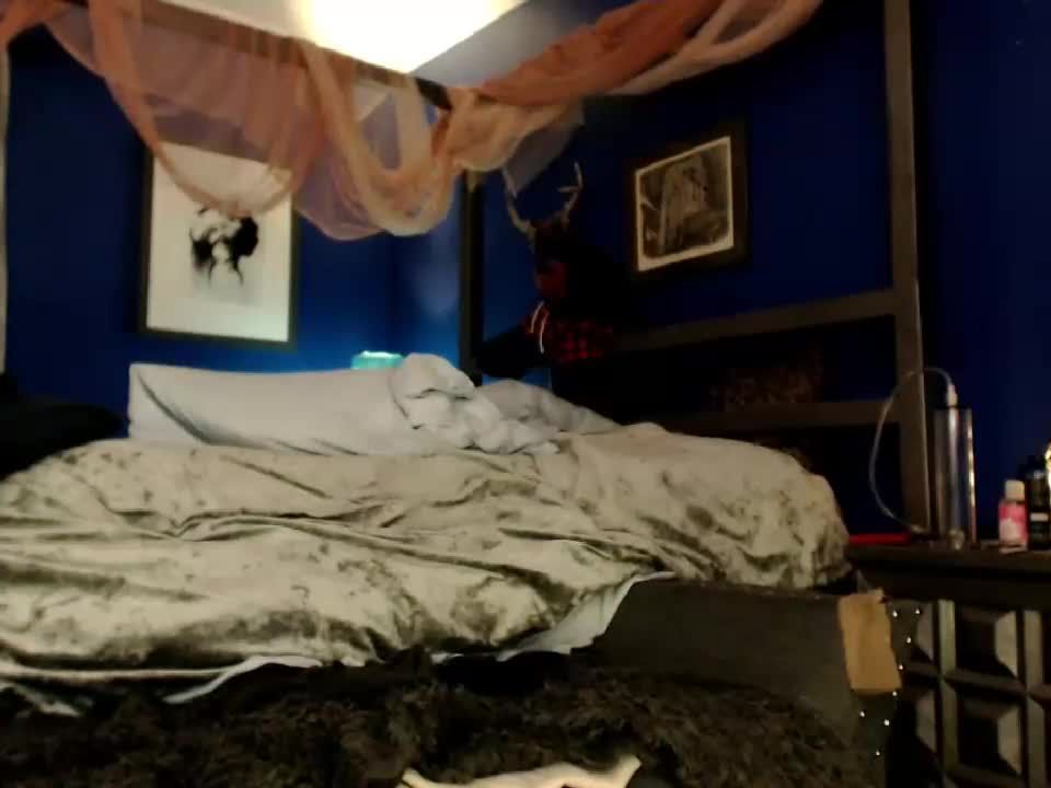 Shemale Webcams Video for November 24, 2019 – 29 webcam 