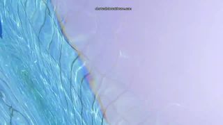 Thanks to a bikini malfunction we can see both pussy and tits  1 280-4