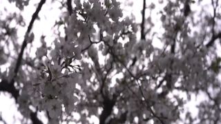 [WarAnLov.com] GIGP-66 Heroine's SAGA #4 ~Only courage can change your destiny~-018-9