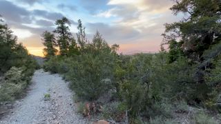 alexandavaonly 2024-06-19 Sunset hike in Lee Canyon leads to fun on the trail  Passi   0v7moo-6