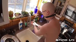 7727 Chef Greyhound Thanksgiving Prep Edition 11 28 20 Saf-2