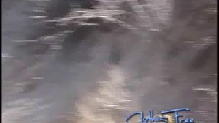 ClothesFree show202ehi (mp4)-9