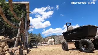 Lets Move Some Rocks - 08.02.21 Download New Porn Video F...-7