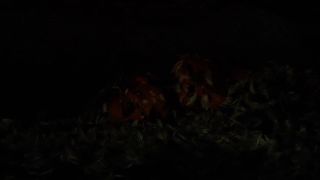 The_Butcher_performance - body - voyeur -6