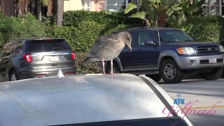 xxx video clip 18 You Take Lily To La Jolla For Some Sun! | porn hd | squirt cosplay fetish-7