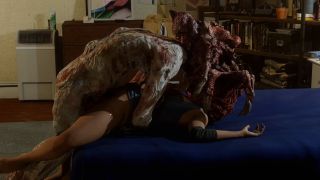 Lecok Collection [2024-06-09].-1