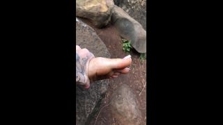 online video 1 Bowdown2Chelsea 29-09-2019 You Don T Even Like Feet But You - footfetish - feet porn nadia ali foot fetish-0