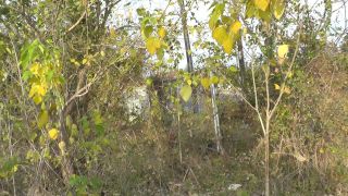 Mariah Leonne - EXTREME Risky Public Roadside Facial - Public-0
