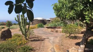 Lalliboop () - pantelleria i have been coming here for years love at first sight that does not disco 14-07-2020-3