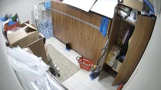 0117_personal_Персонал_main_20180404155250_155610-1