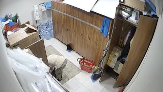 0117_personal_Персонал_main_20180404155250_155610-5