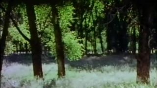 Virgin Forest (1978)!!!-5