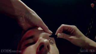 video 4 SensualPain – Jan 3, 2021: Brows Shaved for Master | slave Butters | sensualpain | femdom porn speedo fetish-1