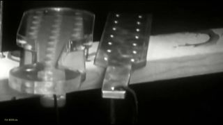 Deutsche Dominaz - Das zucht geld 720P - Germany-0
