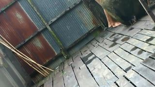Voyeur_Lady-6