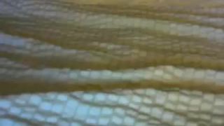 Shemale Webcams Video for September 29, 2019 – 20 Shemale!-8