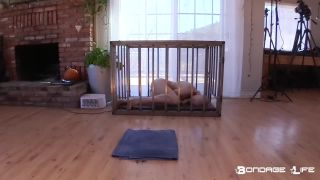 xxx video clip 35 giving birth fetish Greyhound Head Shave (BrutalMaster Edition) – 1/24/2022, bdsm porn on fetish porn-7