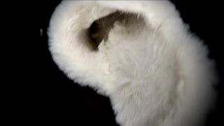 free online video 21 Goddess Lisa Lux - Slipper Sniffer JOI on pov janice griffith foot fetish-8