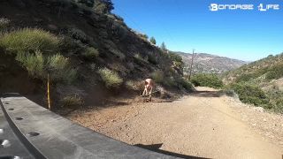 online adult clip 16 BondageLife – Greyhound The Rock Collector – Rachel Greyhound - rachel greyhound - bdsm porn slime fetish-8