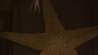 7163 Possesion S6 Classic 90s Dvd Porn at best Vintage 4K For...-3