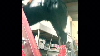 Bossy Ass Delilah2017-09-23 TEX LATINA INCASED HOOD FULL BODYSUIT Note this is a just a tasty tease, full v - 23-6