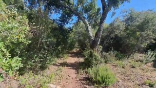 Miss Squirting - Outdoor Camper Gets Internal Creampie Public Forest-2