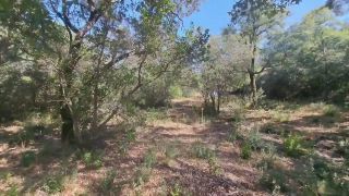 Miss Squirting - Outdoor Camper Gets Internal Creampie Public Forest-5