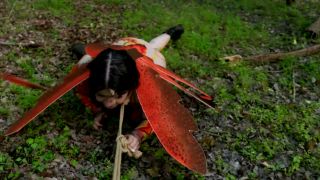 Just a Little Anal Bug in the Grass Quick View Porn - New...-4